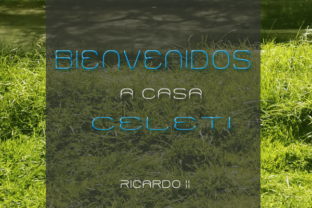 Celeti: A Playful Font for Strategic Communication and Creative Expression