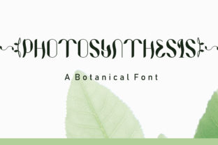 Photosynthesis: Nature’s Elegant Design