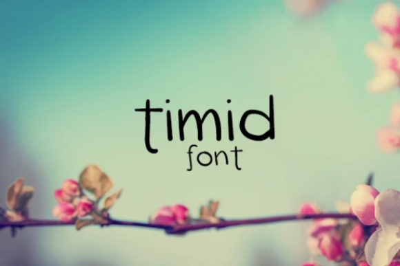 Timid Font