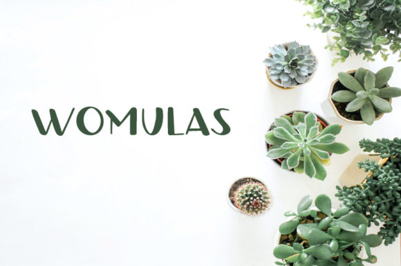 Womulas: Elevating Creativity with a Fun and Quirky Display Font